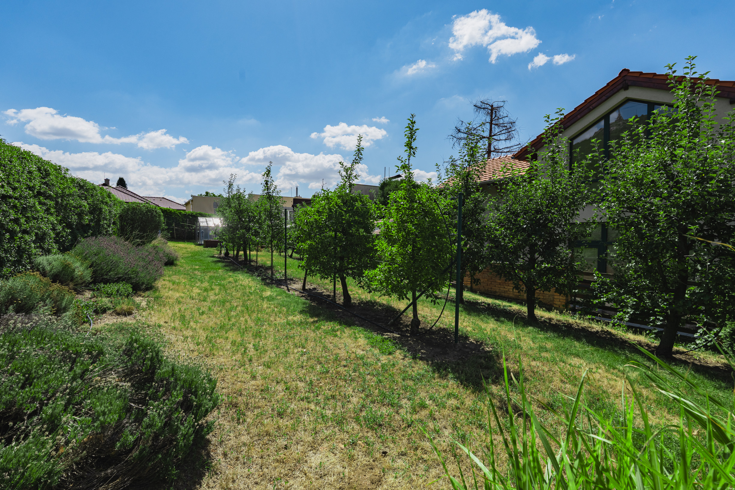 Nadčasová zoborská vila s panoramatickým výhľadom na hrad a vlastným vyhrievaným bazénom