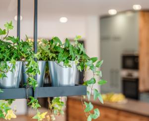 Exkluzívna novostavba hausbótu s veľkorysou terasou a výhľadom na Jarovecké rameno