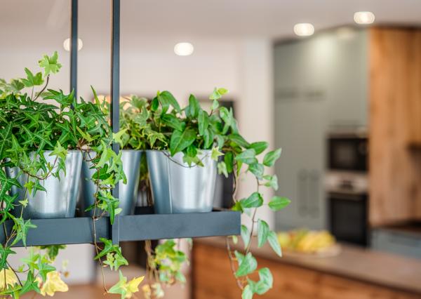 Exkluzívna novostavba hausbótu s veľkorysou terasou a výhľadom na Jarovecké rameno